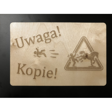 Tabliczka na boks : Uwaga! Kopie!